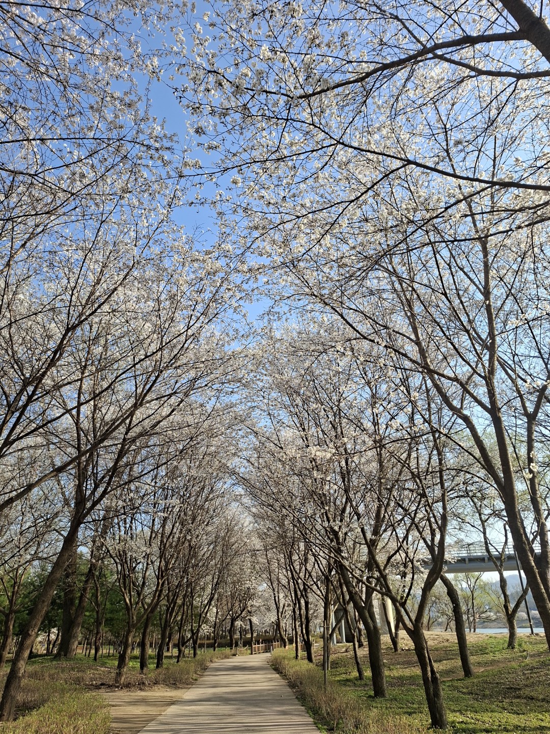 Post image 5