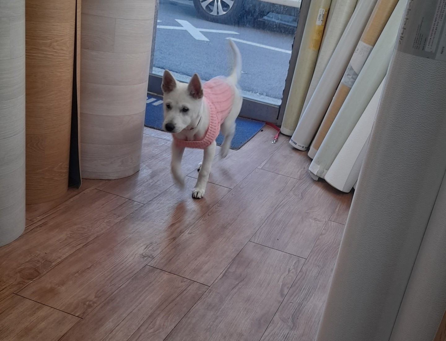 안녕하세요