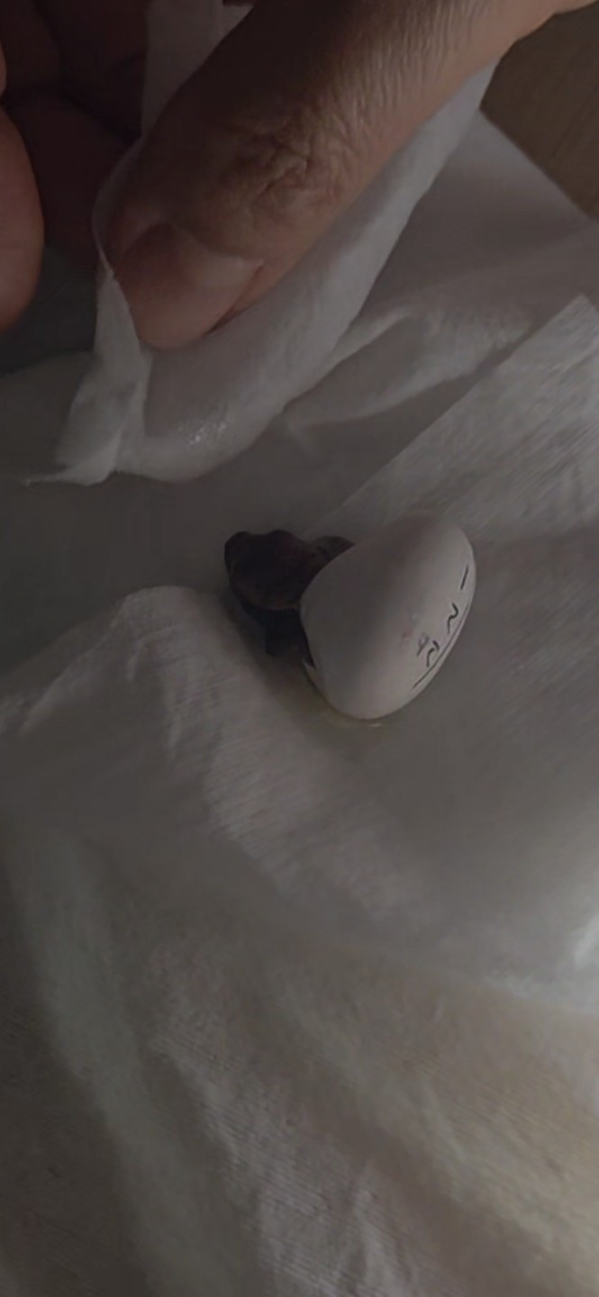 Post image 12