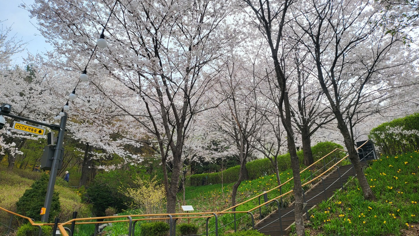 Post image 6