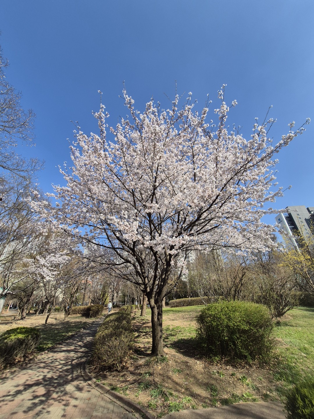 Post image 5