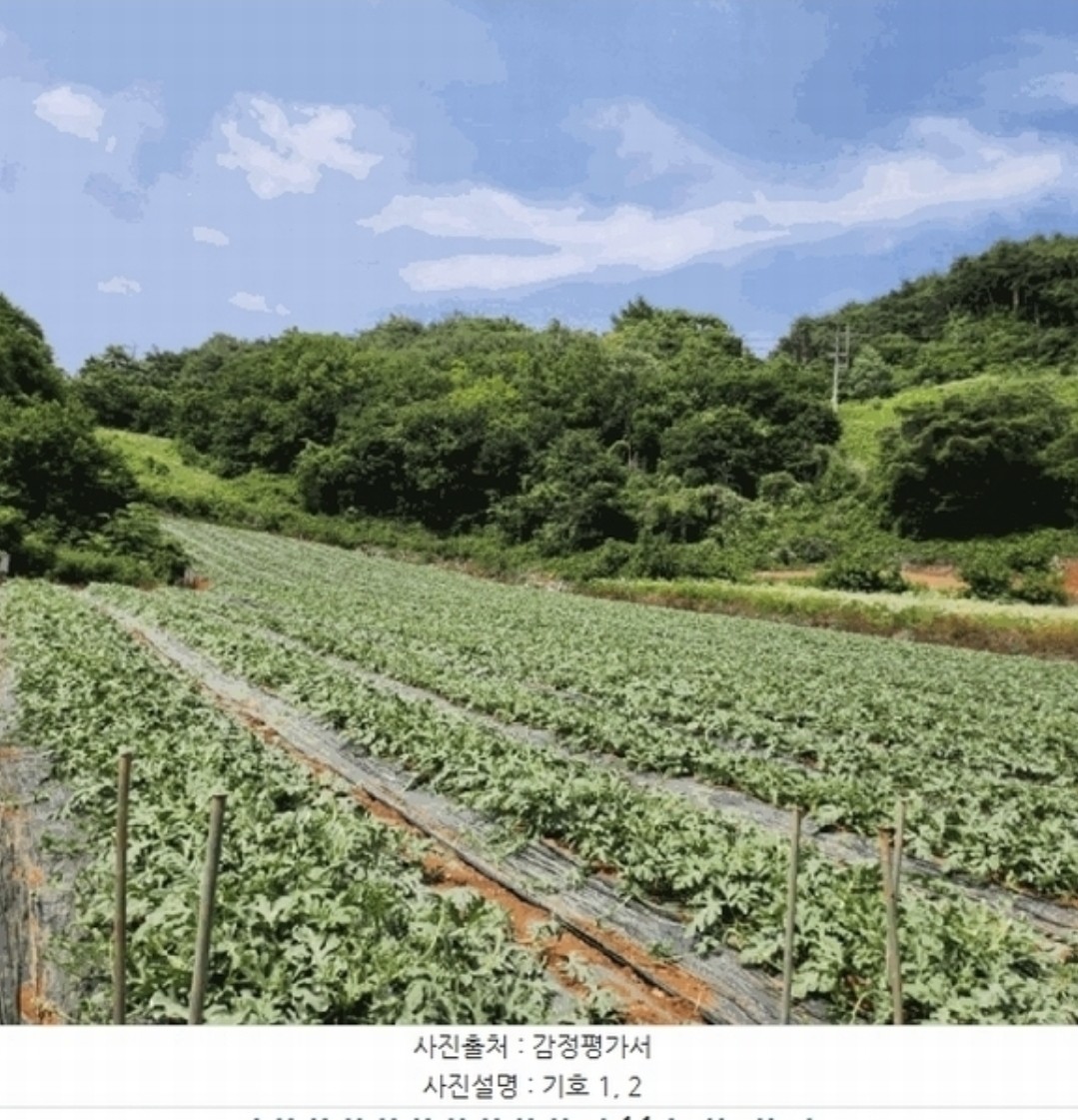 Post image 8