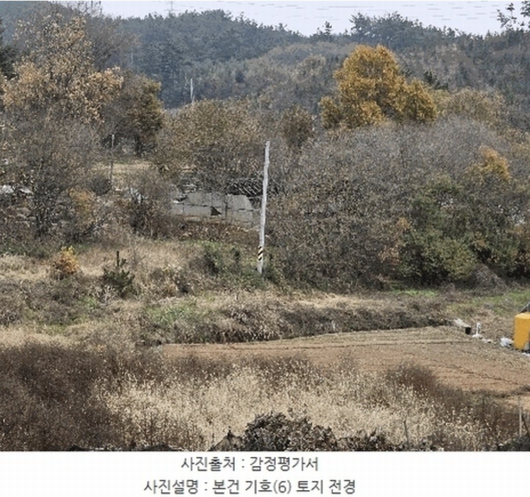 Post image 8