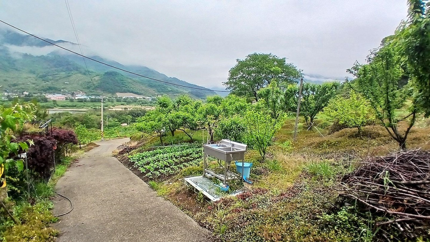 Post image 15