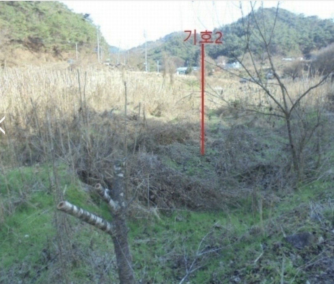 Post image 5