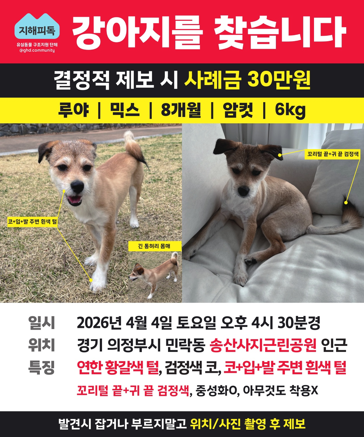 겁쟁이 루야를 잃어버렸습니다!!