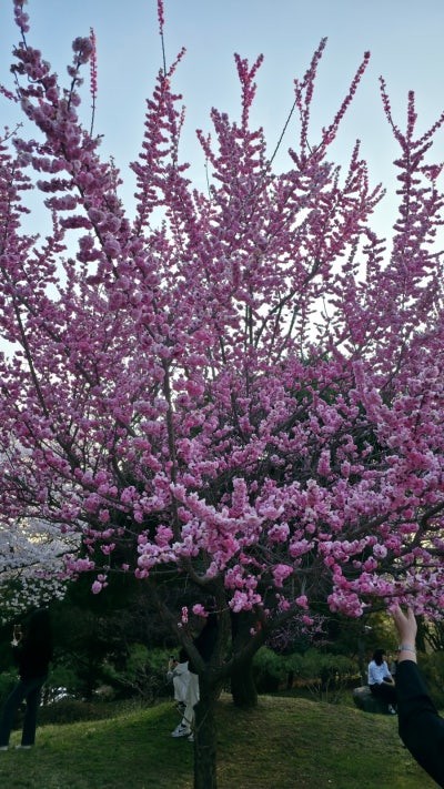 Post image 19