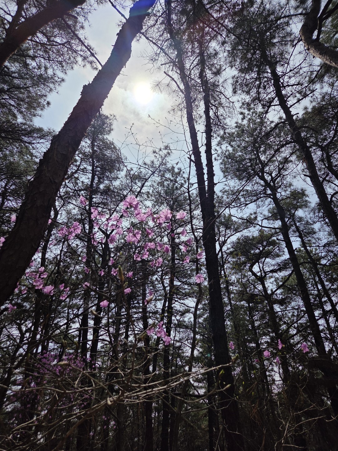 얼마만의 산 구경인지..^^