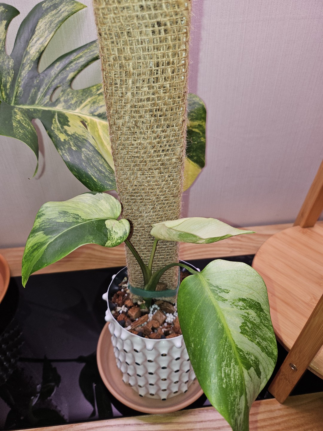 Post image 4