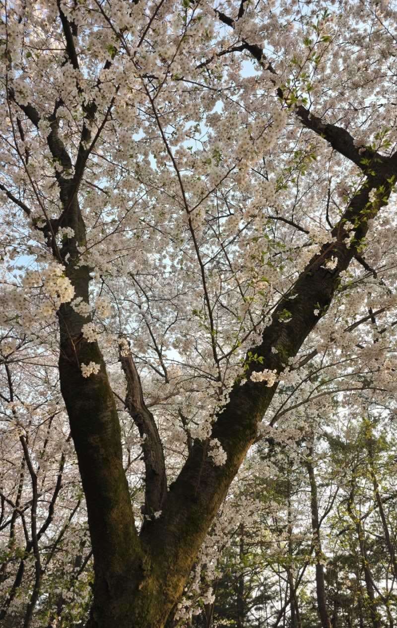동탄 나들이 추천해주세요! 🌳