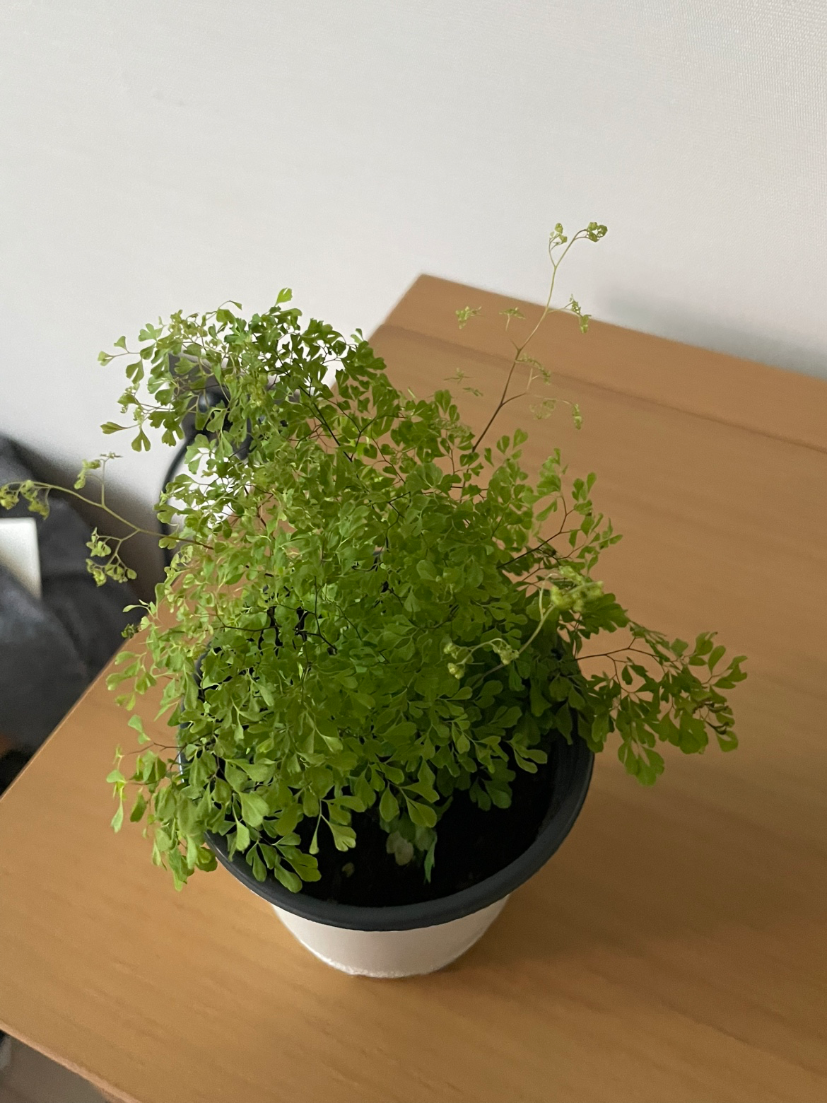 Post image 3