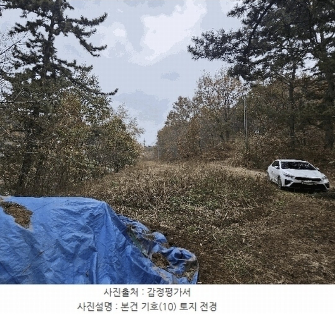 Post image 9