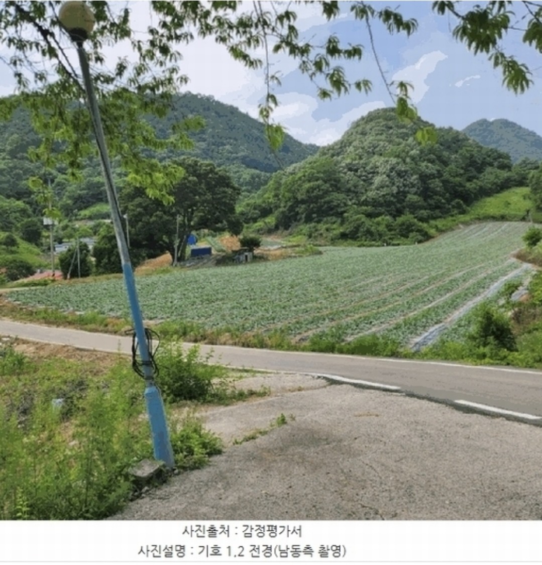 Post image 11