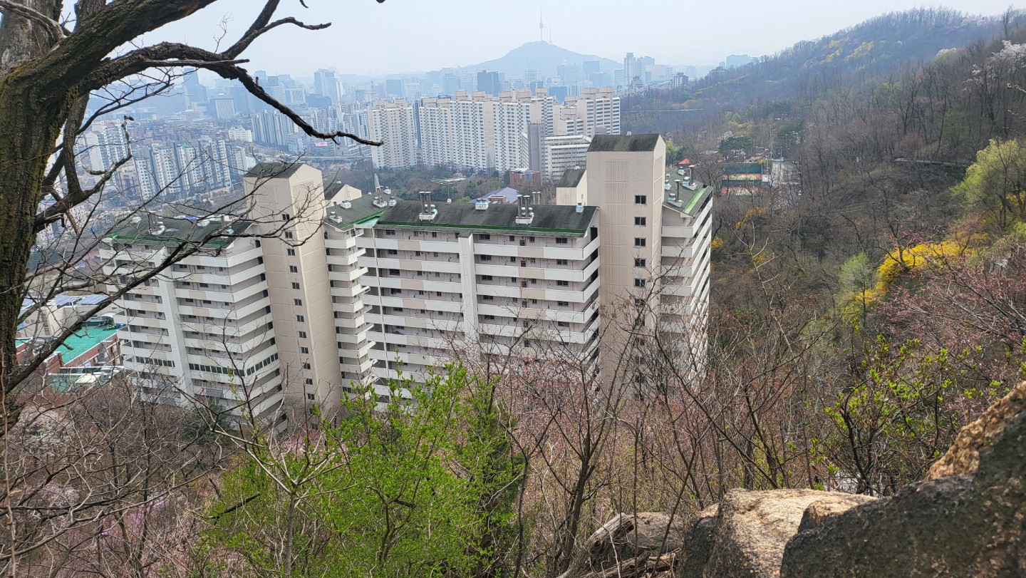 Post image 17