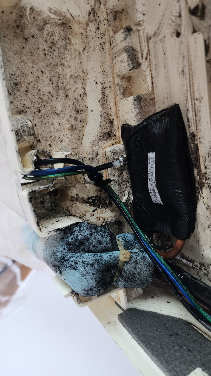 냄새나는 에어컨 곰팡이가 원인입니다.