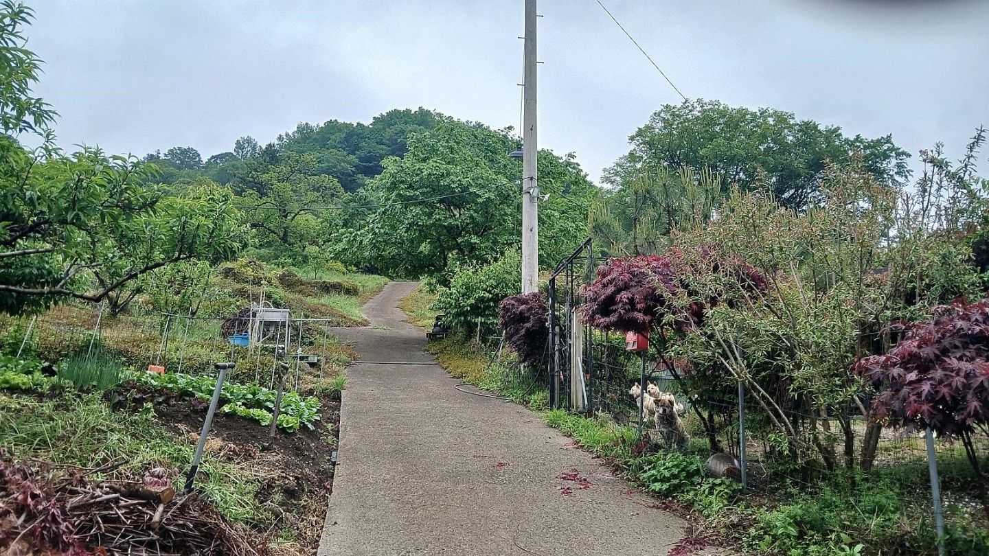 Post image 16