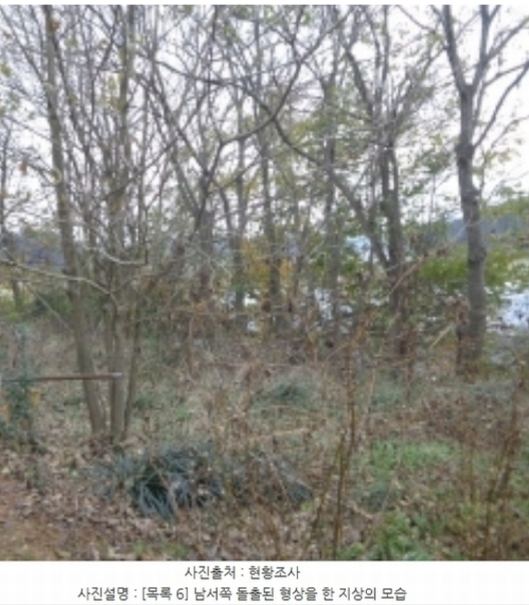 Post image 15