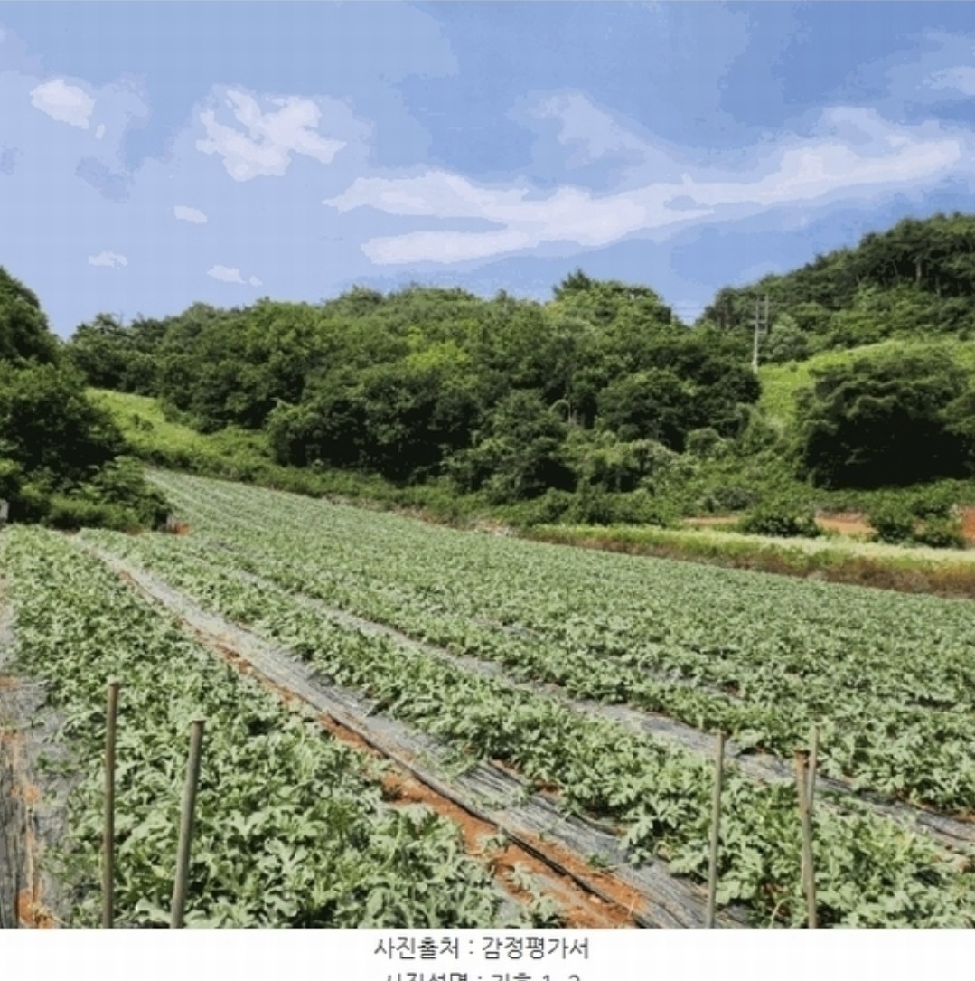 Post image 9