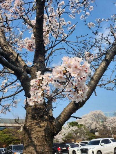 동탄 나들이 추천해주세요! 🌳