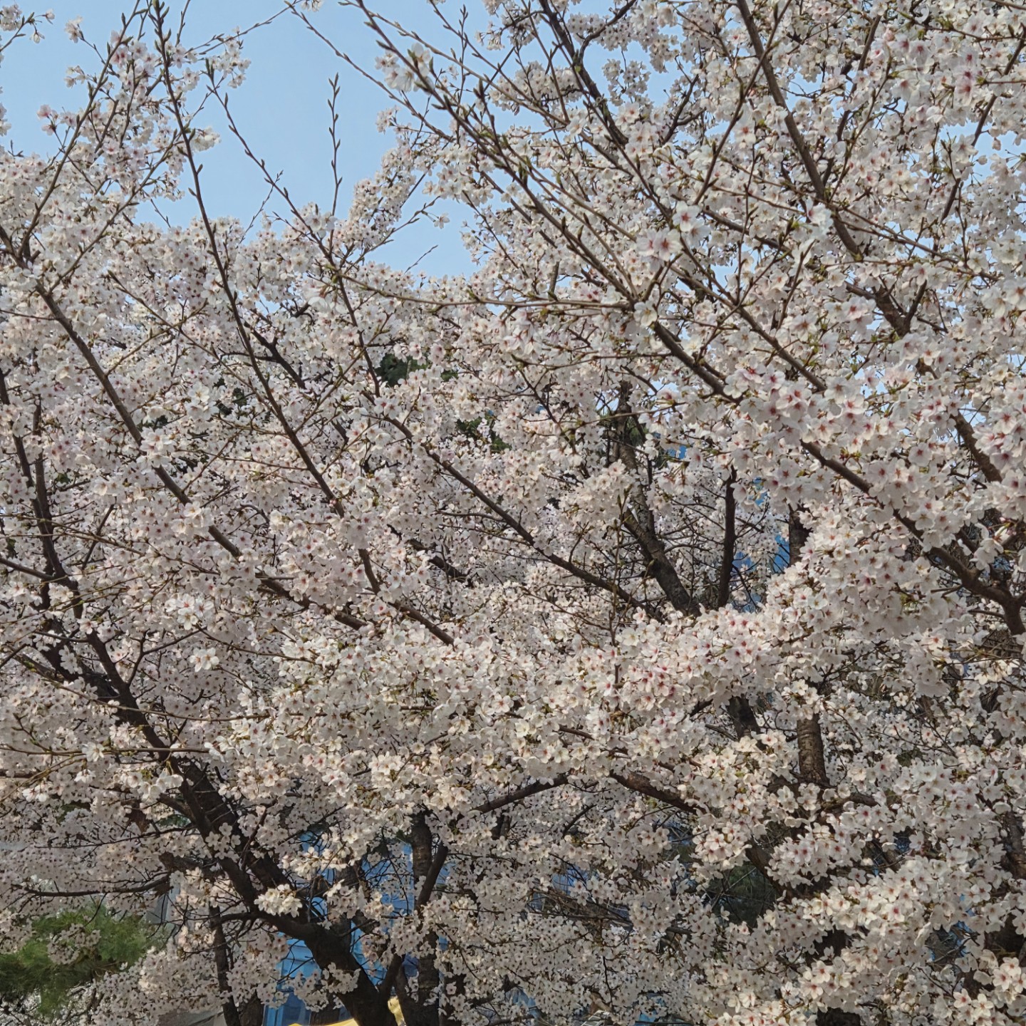 Post image 11
