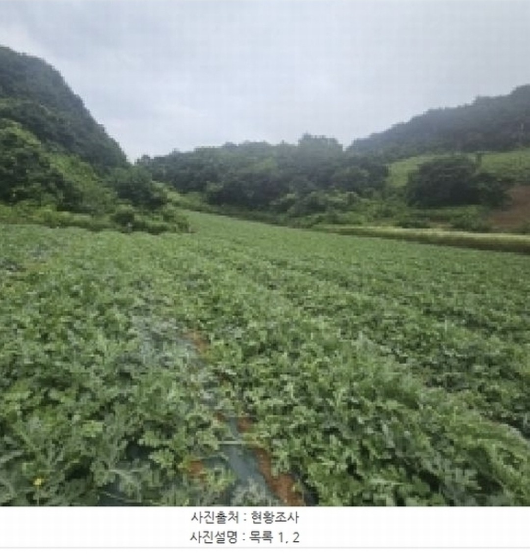 Post image 5