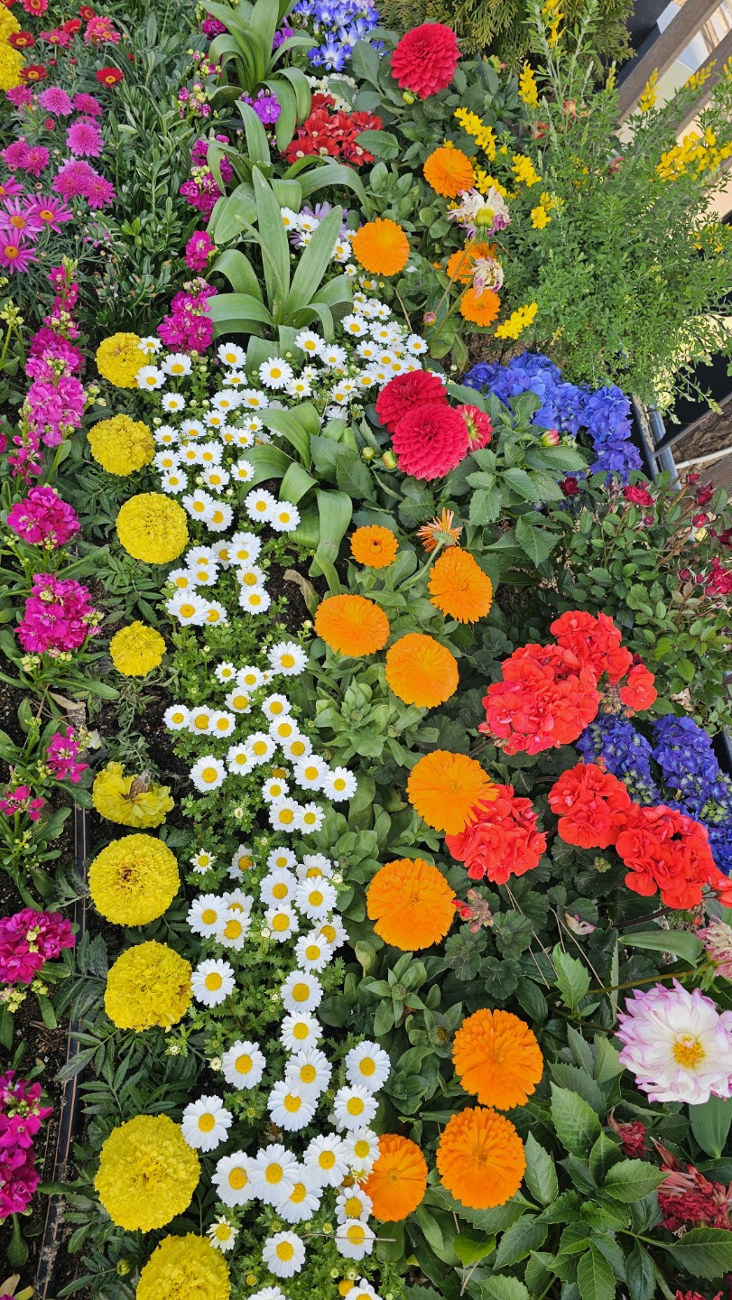 Post image 21