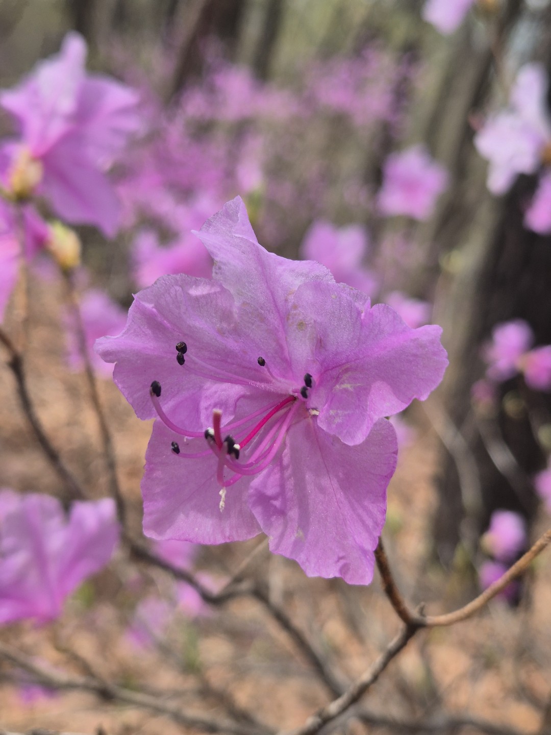 얼마만의 산 구경인지..^^