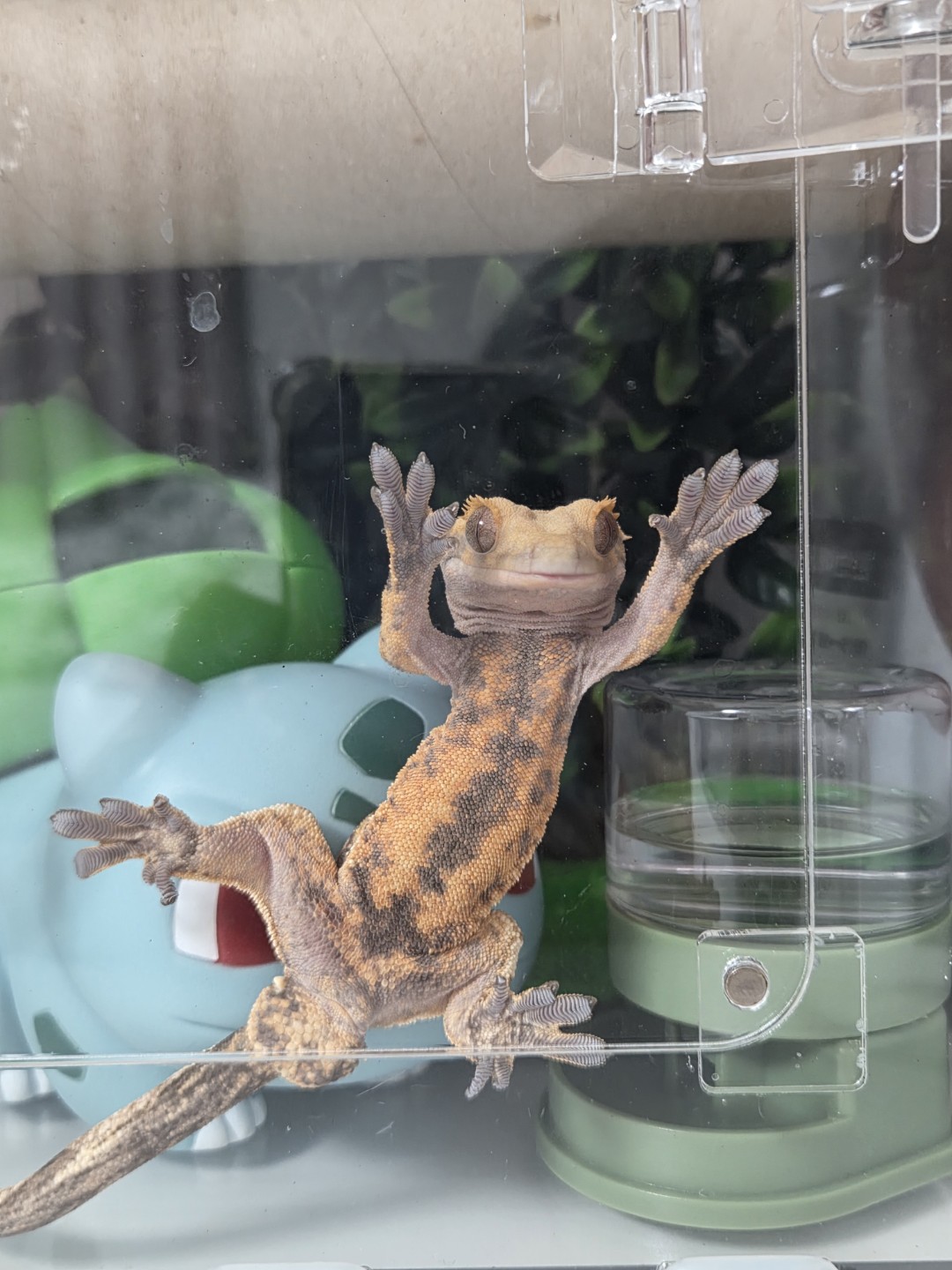 Post image 9