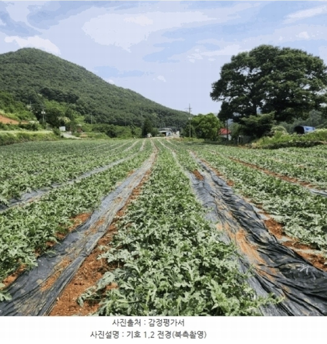 Post image 7