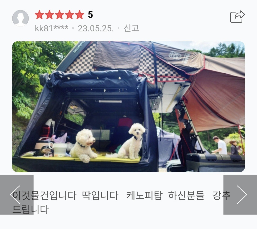 차박텐트 차박캠핑맛집 오렌지차박캠핑