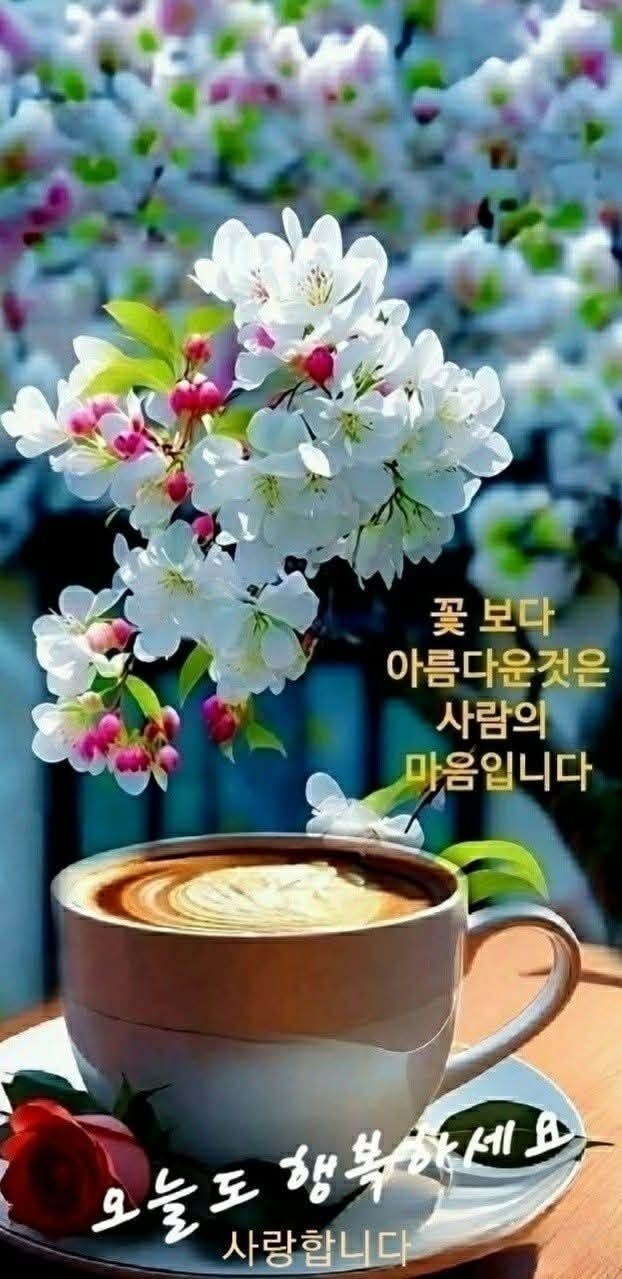 더 많은 것을 갖고 싶다면 먼저 그럴 자격을 갖추어라. 요한 볼프강