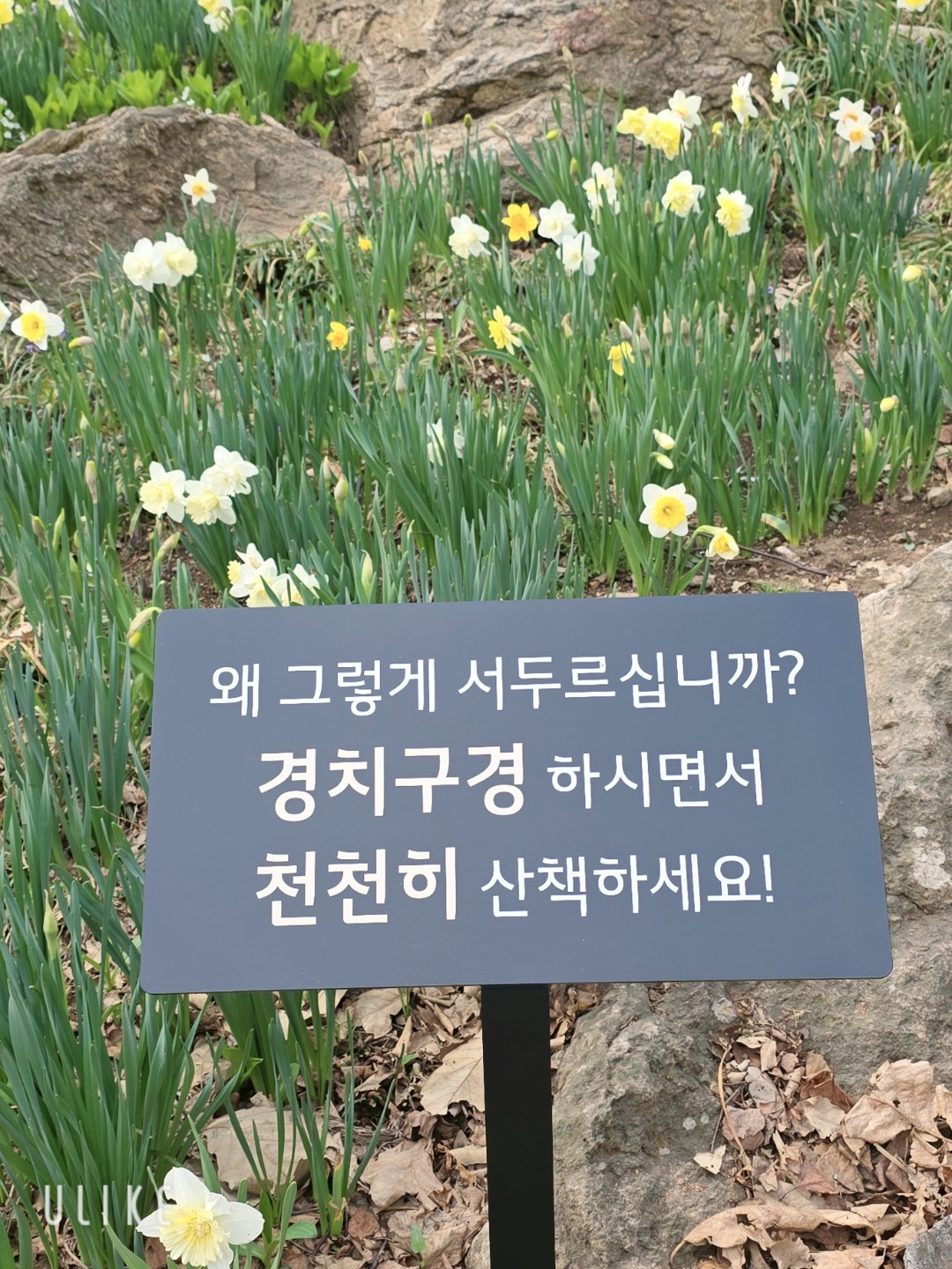 Post image 7