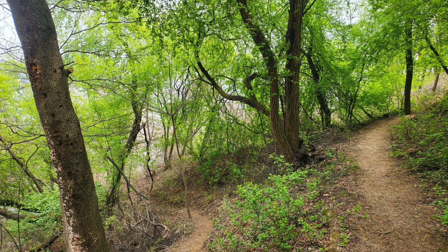 Post image 18