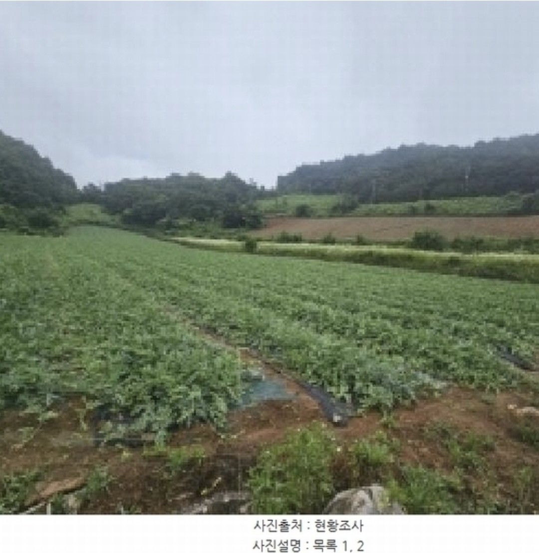 Post image 6