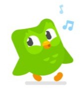 당신의 뇌를 재설계하는 가장 영리한 중독: 언어 습득의 공학적 혁명