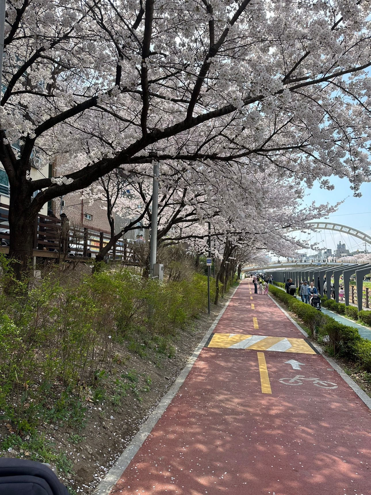 이번 주말 계획은요? 🚀