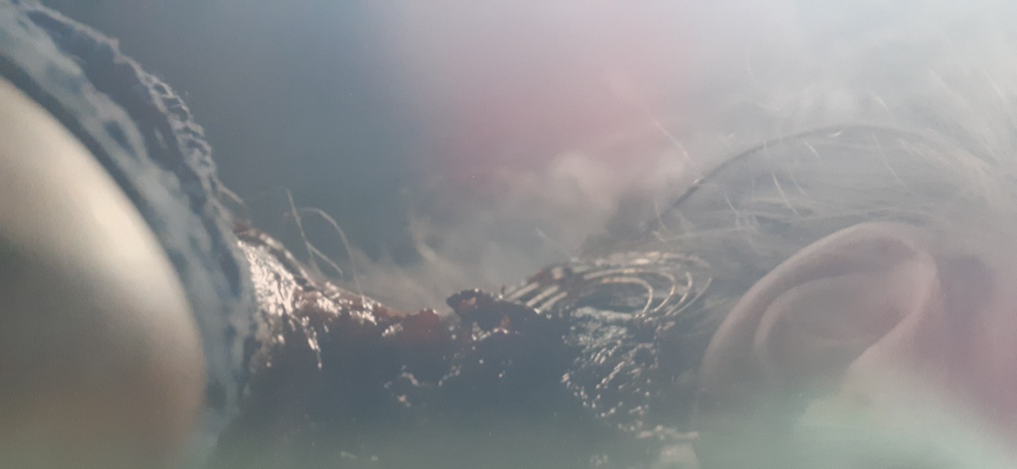 Post image 6