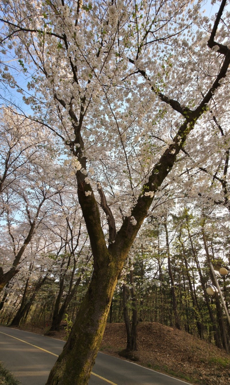동탄 나들이 추천해주세요! 🌳