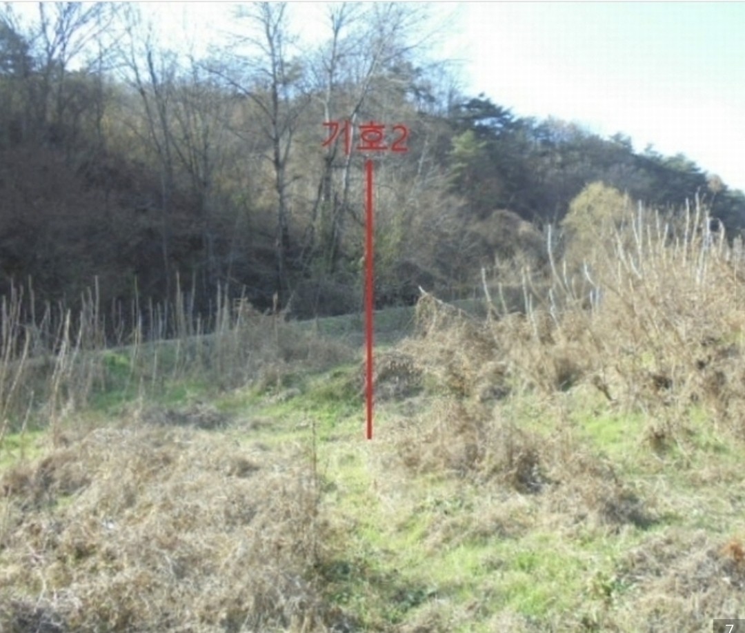 Post image 6