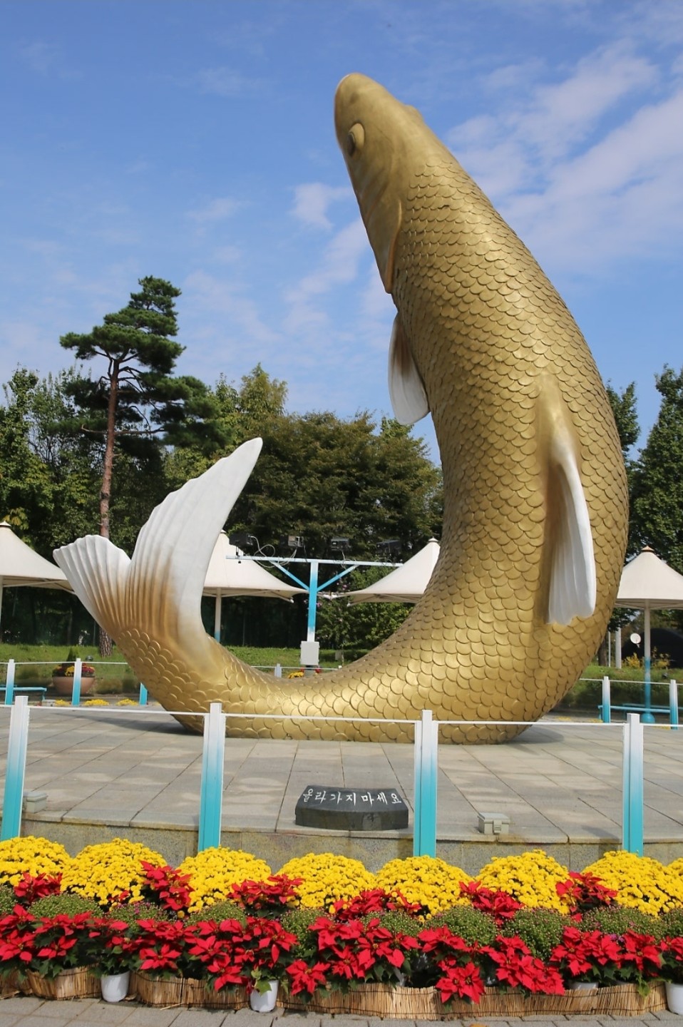 Post image 4