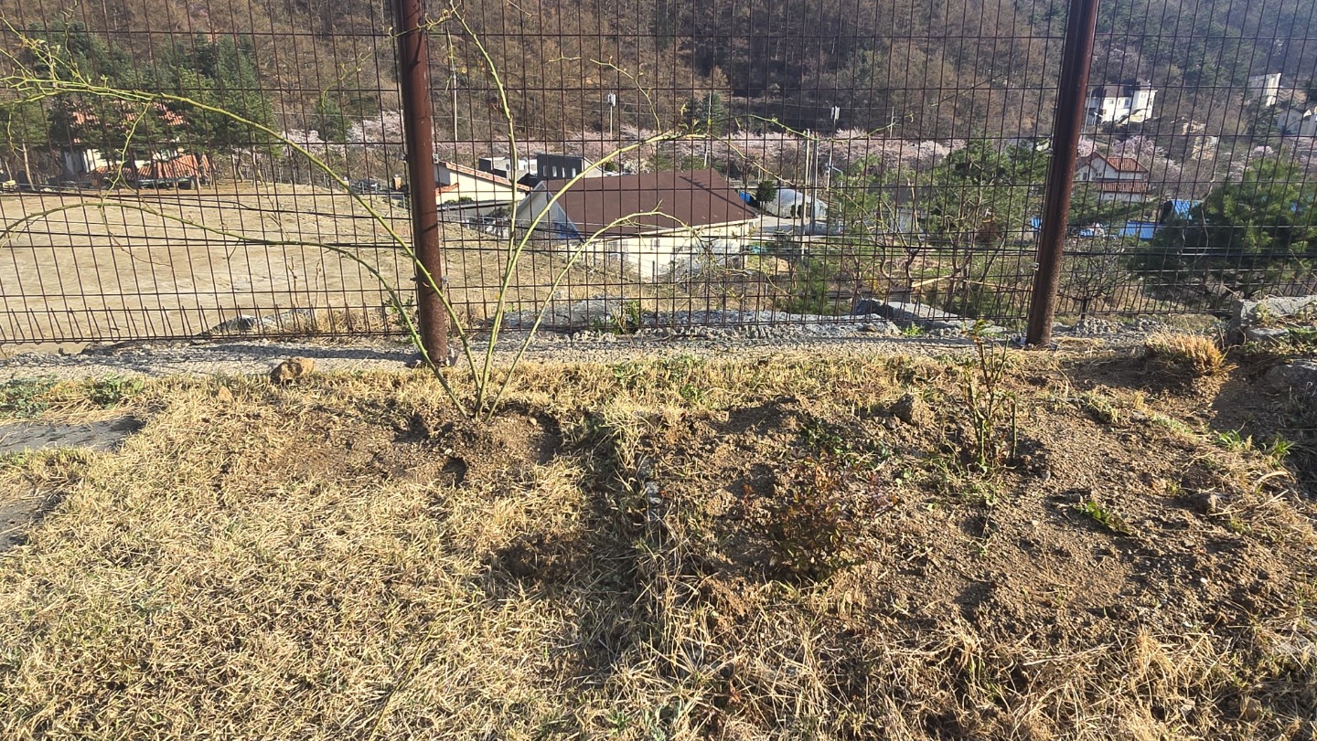 Post image 10