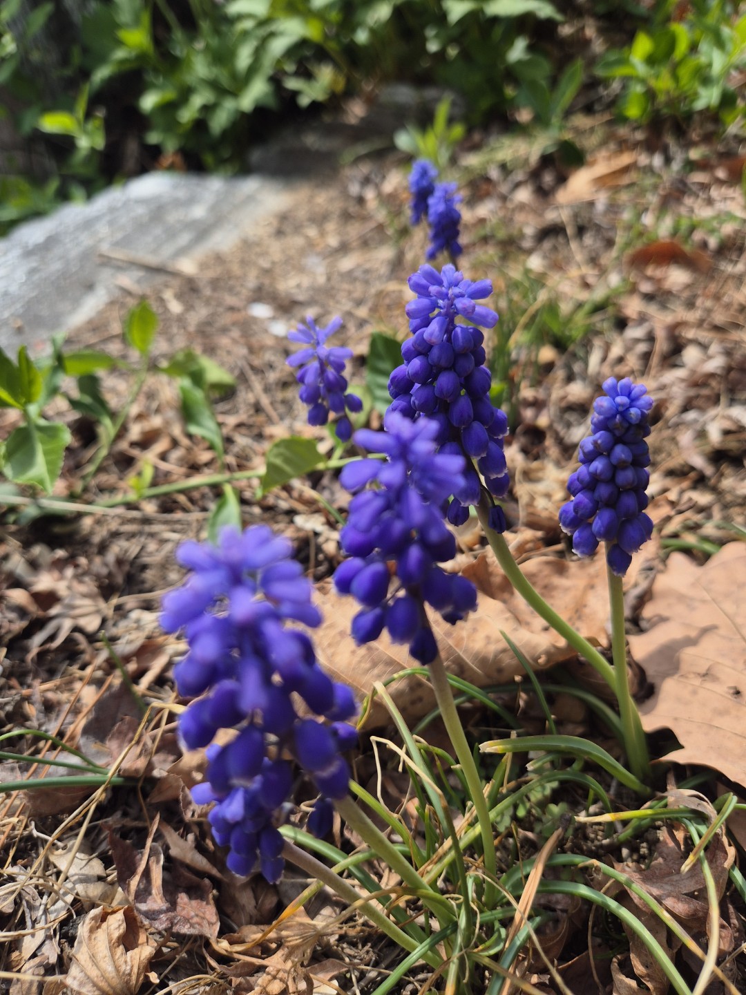 얼마만의 산 구경인지..^^