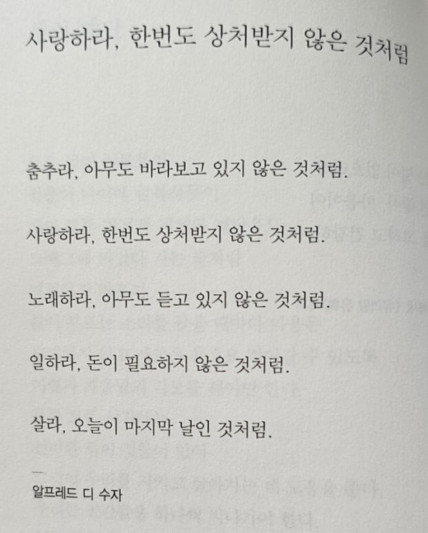사랑하라. 한번도 상처받지 않은 것처럼