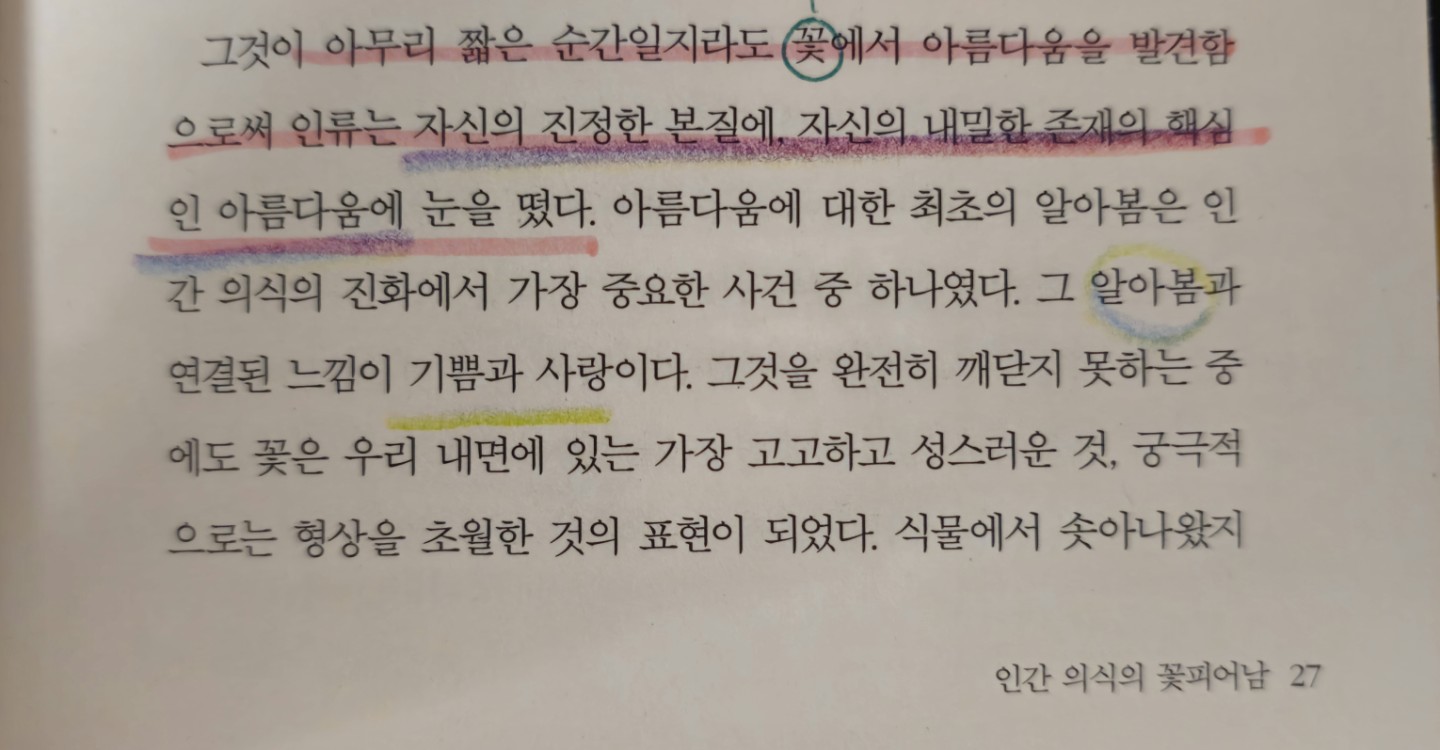 삶으로 다시 떠오르기, 에크하르트 톨레