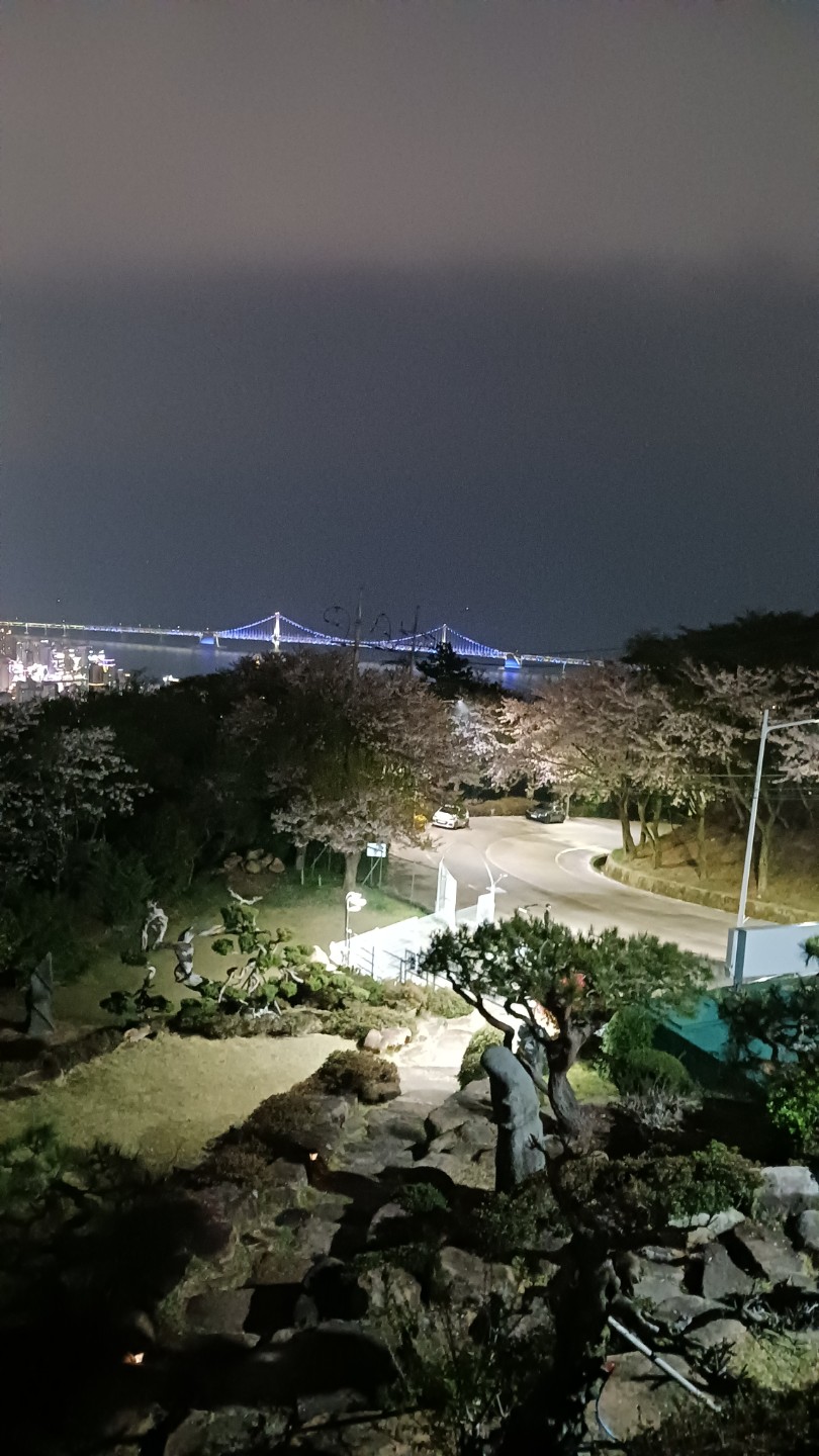 Post image 5