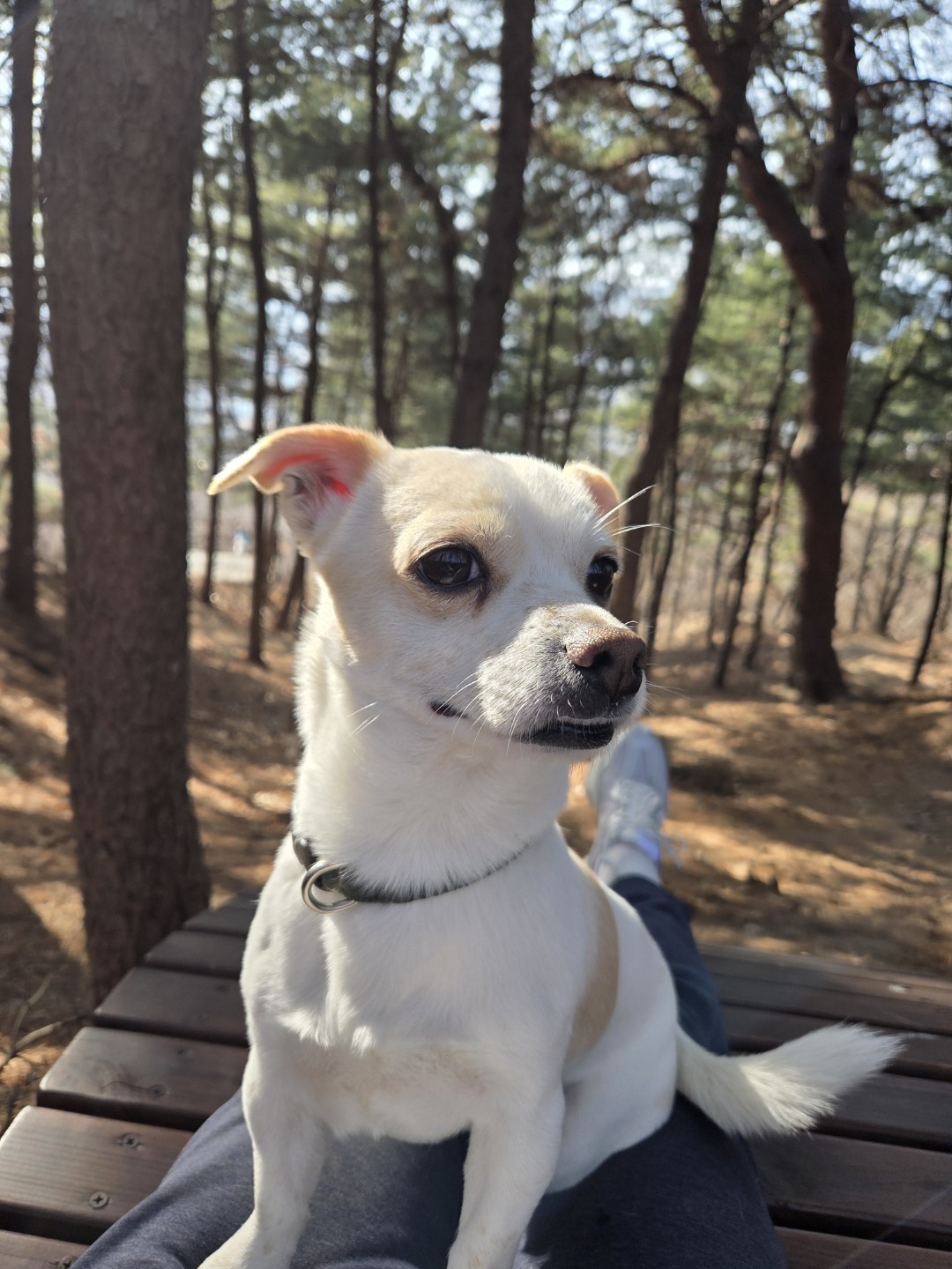 가입인사 올립니다