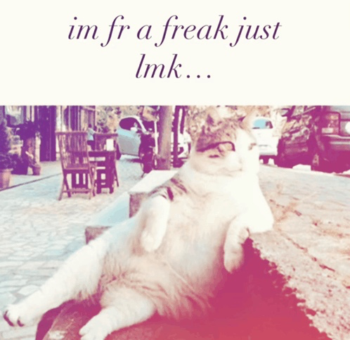 Post image 17