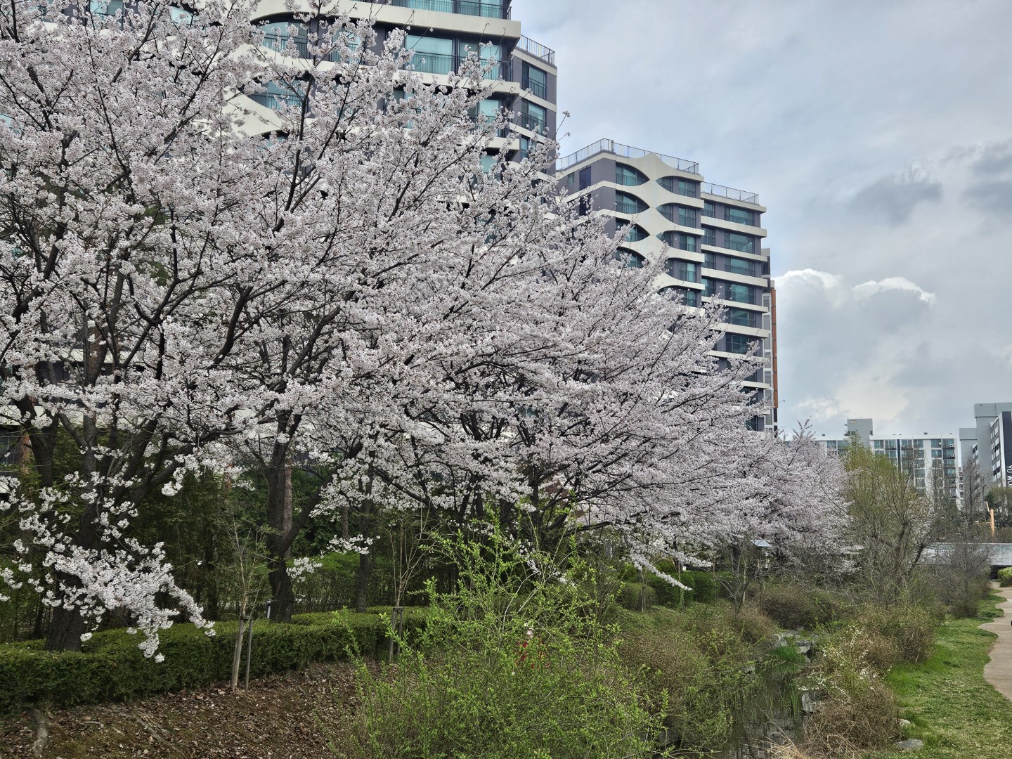 Post image 6