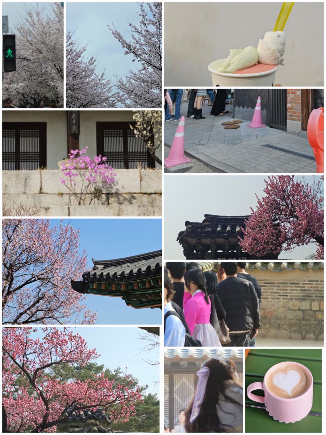 260406 오늘의 컬러🎨분홍