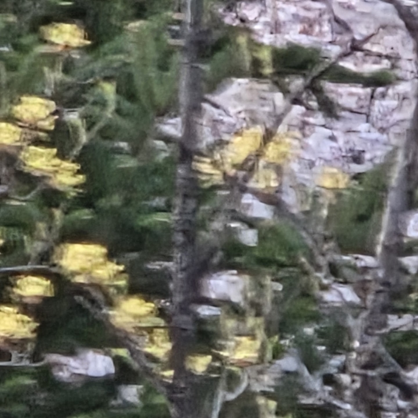 Post image 13